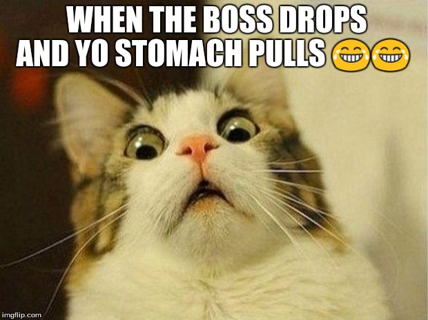 Scared Cat Meme | WHEN THE BOSS DROPS AND YO STOMACH PULLS  | image tagged in memes,scared cat | made w/ Imgflip meme maker