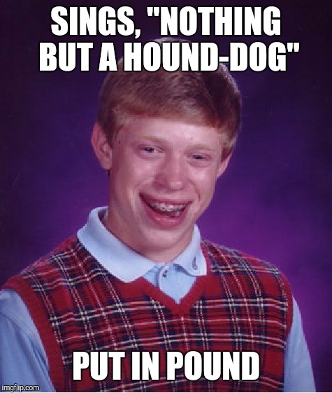 Bad Luck Brian Meme | SINGS, "NOTHING BUT A HOUND-DOG" PUT IN POUND | image tagged in memes,bad luck brian | made w/ Imgflip meme maker