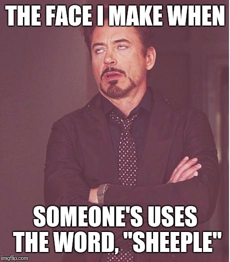 Face You Make Robert Downey Jr Meme | THE FACE I MAKE WHEN SOMEONE'S USES THE WORD, "SHEEPLE" | image tagged in memes,face you make robert downey jr | made w/ Imgflip meme maker