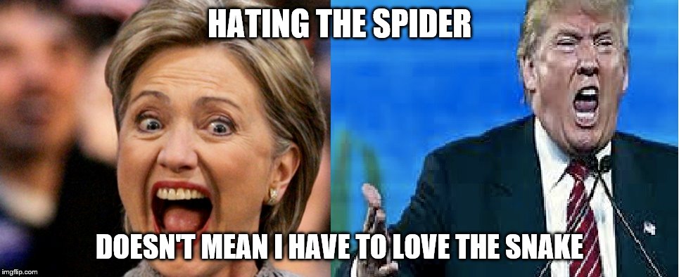 Truth | HATING THE SPIDER DOESN'T MEAN I HAVE TO LOVE THE SNAKE | image tagged in political | made w/ Imgflip meme maker