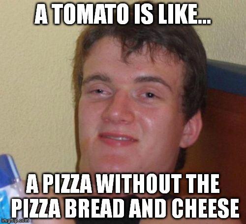 10 Guy Meme | A TOMATO IS LIKE... A PIZZA WITHOUT THE PIZZA BREAD AND CHEESE | image tagged in memes,10 guy | made w/ Imgflip meme maker