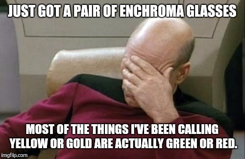 Relearning the rainbow? Ain't nobody got time for that! | JUST GOT A PAIR OF ENCHROMA GLASSES MOST OF THE THINGS I'VE BEEN CALLING YELLOW OR GOLD ARE ACTUALLY GREEN OR RED. | image tagged in memes,captain picard facepalm | made w/ Imgflip meme maker