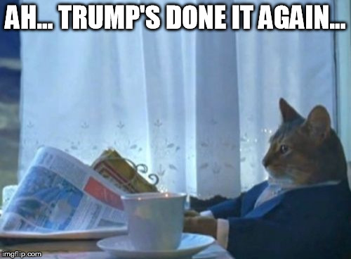 I Should Buy A Boat Cat Meme | AH... TRUMP'S DONE IT AGAIN... | image tagged in memes,i should buy a boat cat | made w/ Imgflip meme maker