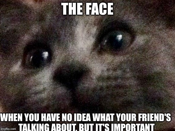 THE FACE WHEN YOU HAVE NO IDEA WHAT YOUR FRIEND'S TALKING ABOUT, BUT IT'S IMPORTANT | image tagged in happy cat | made w/ Imgflip meme maker