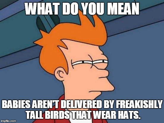 Futurama Fry | WHAT DO YOU MEAN BABIES AREN'T DELIVERED BY FREAKISHLY TALL BIRDS THAT WEAR HATS. | image tagged in memes,futurama fry | made w/ Imgflip meme maker