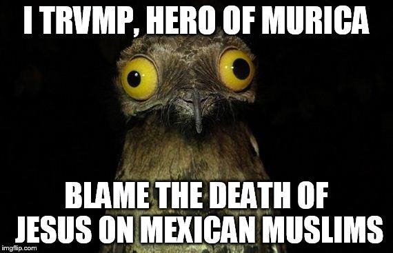 Weird Stuff I Do Potoo | I TRVMP, HERO OF MURICA BLAME THE DEATH OF JESUS ON MEXICAN MUSLIMS | image tagged in memes,weird stuff i do potoo | made w/ Imgflip meme maker