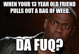 Kevin Hart | WHEN YOUR 13 YEAR OLD FRIEND PULLS OUT A BAG OF WEED. DA FUQ? | image tagged in memes,kevin hart the hell | made w/ Imgflip meme maker