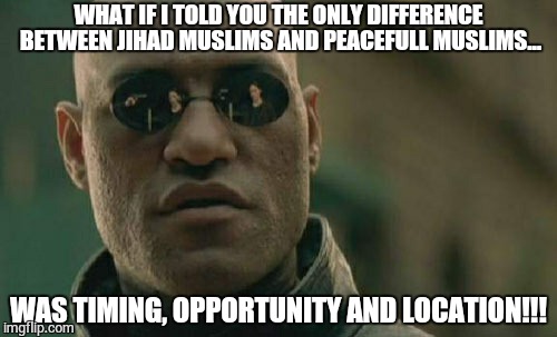 Matrix Morpheus | WHAT IF I TOLD YOU THE ONLY DIFFERENCE BETWEEN JIHAD MUSLIMS AND PEACEFULL MUSLIMS... WAS TIMING, OPPORTUNITY AND LOCATION!!! | image tagged in memes,matrix morpheus | made w/ Imgflip meme maker