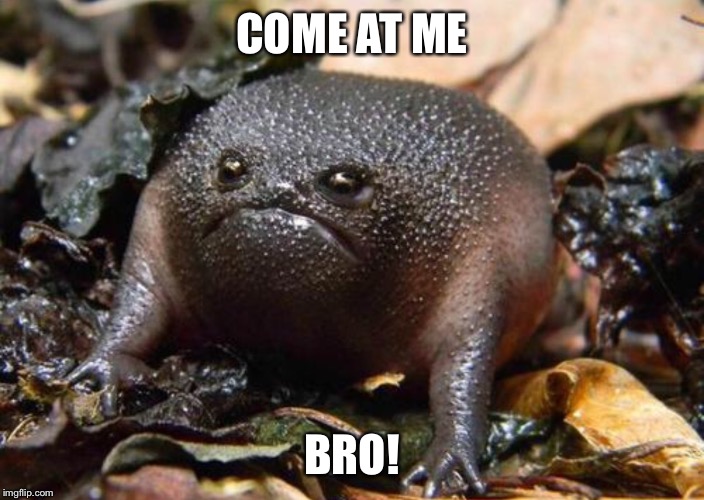 Grumpy toad | COME AT ME BRO! | image tagged in funny memes | made w/ Imgflip meme maker