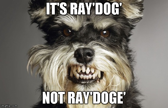 IT'S RAY'DOG' NOT RAY'DOGE' | made w/ Imgflip meme maker