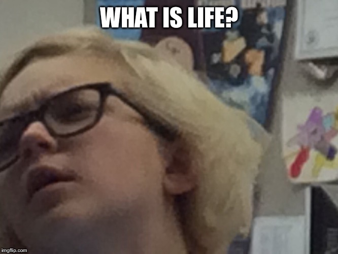 what is life | WHAT IS LIFE? | image tagged in life | made w/ Imgflip meme maker