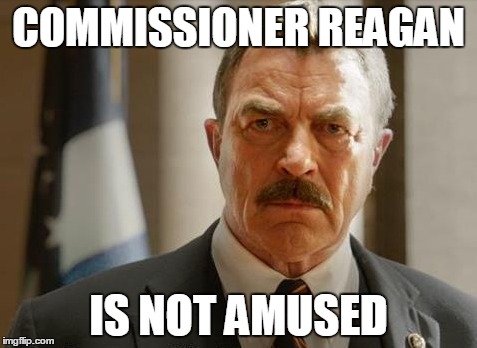 Commissioner Reagan Is Not Amused | COMMISSIONER REAGAN IS NOT AMUSED | image tagged in commissioner reagan,not amused,blue bloods | made w/ Imgflip meme maker