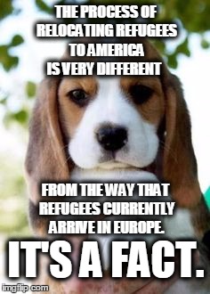 interesting facts  | THE PROCESS OF RELOCATING REFUGEES TO AMERICA IS VERY DIFFERENT IT'S A FACT. FROM THE WAY THAT REFUGEES CURRENTLY ARRIVE IN EUROPE. | image tagged in interesting facts  | made w/ Imgflip meme maker