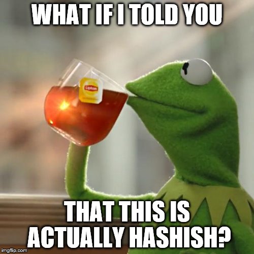 But That's None Of My Business | WHAT IF I TOLD YOU THAT THIS IS ACTUALLY HASHISH? | image tagged in memes,but thats none of my business,kermit the frog,10 guy,matrix morpheus | made w/ Imgflip meme maker