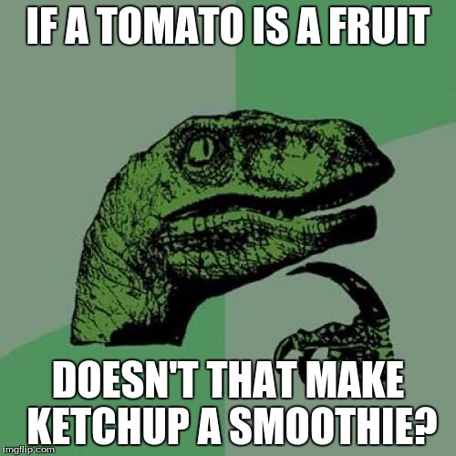 Philosoraptor | IF A TOMATO IS A FRUIT DOESN'T THAT MAKE KETCHUP A SMOOTHIE? | image tagged in memes,philosoraptor | made w/ Imgflip meme maker