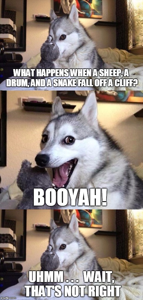 He forgot to say "Baa Dum Tss" :) | WHAT HAPPENS WHEN A SHEEP, A DRUM, AND A SNAKE FALL OFF A CLIFF? UHMM . . .  WAIT, THAT'S NOT RIGHT BOOYAH! | image tagged in i'm bad at puns dog 2,i'm bad at puns dog,memes,bad pun dog,custom template,wait that's not right | made w/ Imgflip meme maker