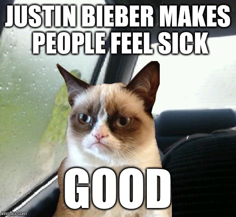 Introspective Grumpy Cat | JUSTIN BIEBER MAKES PEOPLE FEEL SICK GOOD | image tagged in introspective grumpy cat | made w/ Imgflip meme maker