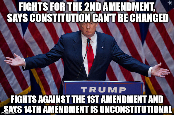Donald Trump | FIGHTS FOR THE 2ND AMENDMENT, SAYS CONSTITUTION CAN'T BE CHANGED FIGHTS AGAINST THE 1ST AMENDMENT AND SAYS 14TH AMENDMENT IS UNCONSTITUTIONA | image tagged in donald trump | made w/ Imgflip meme maker
