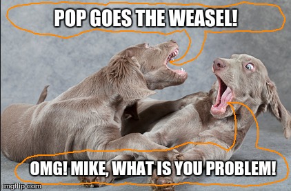 POP GOES THE WEASEL! OMG! MIKE, WHAT IS YOU PROBLEM! | image tagged in funny dogs | made w/ Imgflip meme maker