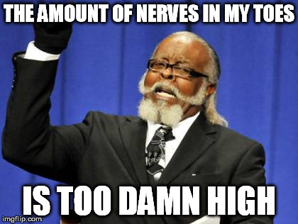 Too Damn High Meme | THE AMOUNT OF NERVES IN MY TOES IS TOO DAMN HIGH | image tagged in memes,too damn high | made w/ Imgflip meme maker
