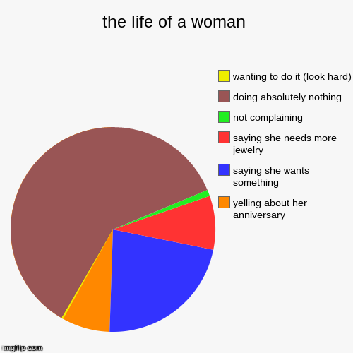 life of a woman | image tagged in funny,pie charts | made w/ Imgflip chart maker