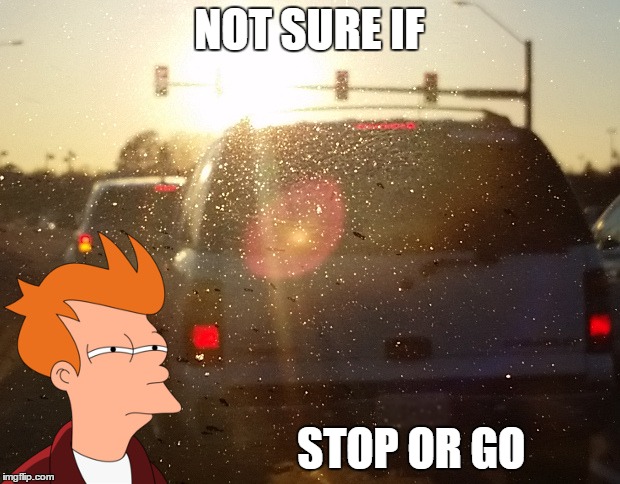 The pain of driving home into the sunset | NOT SURE IF STOP OR GO | image tagged in memes,futurama fry,funny,true | made w/ Imgflip meme maker