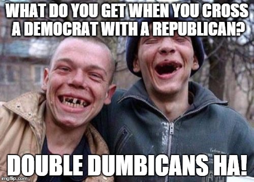 piss 'em all off lol | WHAT DO YOU GET WHEN YOU CROSS A DEMOCRAT WITH A REPUBLICAN? DOUBLE DUMBICANS HA! | image tagged in memes,ugly twins,politics,republicans,democrats,sarcasm | made w/ Imgflip meme maker
