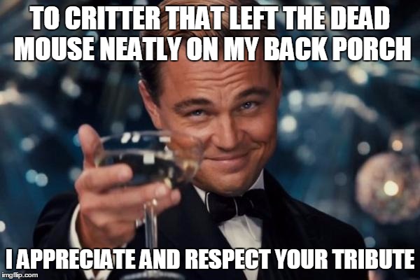 Leonardo Dicaprio Cheers | TO CRITTER THAT LEFT THE DEAD MOUSE NEATLY ON MY BACK PORCH I APPRECIATE AND RESPECT YOUR TRIBUTE | image tagged in memes,leonardo dicaprio cheers | made w/ Imgflip meme maker