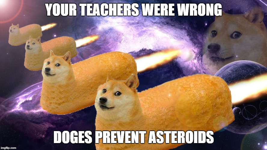Doges rule | YOUR TEACHERS WERE WRONG DOGES PREVENT ASTEROIDS | image tagged in multi doge | made w/ Imgflip meme maker