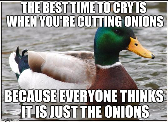 Actual Advice Mallard Meme | THE BEST TIME TO CRY IS WHEN YOU'RE CUTTING ONIONS BECAUSE EVERYONE THINKS IT IS JUST THE ONIONS | image tagged in memes,actual advice mallard | made w/ Imgflip meme maker