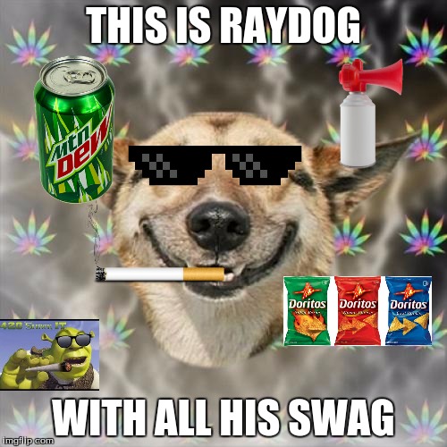 Stoner Dog | THIS IS RAYDOG WITH ALL HIS SWAG | image tagged in memes,stoner dog | made w/ Imgflip meme maker