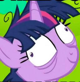 Twilight Sparkle crazy Blank Meme Template