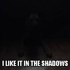 I LIKE IT IN THE SHADOWS | made w/ Imgflip meme maker
