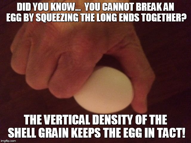 DID YOU KNOW...  YOU CANNOT BREAK AN EGG BY SQUEEZING THE LONG ENDS TOGETHER? THE VERTICAL DENSITY OF THE SHELL GRAIN KEEPS THE EGG IN TACT! | image tagged in unbreakable eggs | made w/ Imgflip meme maker