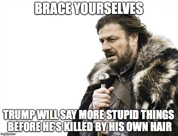 Brace Yourselves X is Coming | BRACE YOURSELVES TRUMP WILL SAY MORE STUPID THINGS BEFORE HE'S KILLED BY HIS OWN HAIR | image tagged in memes,brace yourselves x is coming | made w/ Imgflip meme maker