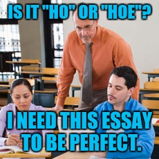 Over achiever  | IS IT "HO" OR "HOE"? I NEED THIS ESSAY TO BE PERFECT. | image tagged in nsfw | made w/ Imgflip meme maker