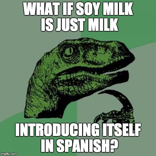 Philosoraptor Meme | WHAT IF SOY MILK IS JUST MILK INTRODUCING ITSELF IN SPANISH? | image tagged in memes,philosoraptor | made w/ Imgflip meme maker