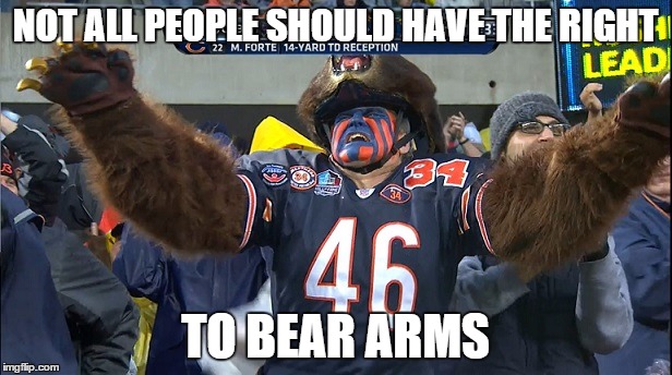 bears fan | NOT ALL PEOPLE SHOULD HAVE THE RIGHT TO BEAR ARMS | image tagged in bear | made w/ Imgflip meme maker