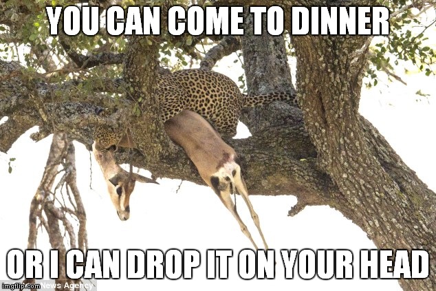 YOU CAN COME TO DINNER OR I CAN DROP IT ON YOUR HEAD | made w/ Imgflip meme maker