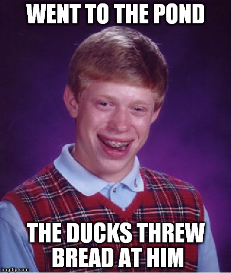 Bad Luck Brian Meme | WENT TO THE POND THE DUCKS THREW BREAD AT HIM | image tagged in memes,bad luck brian | made w/ Imgflip meme maker