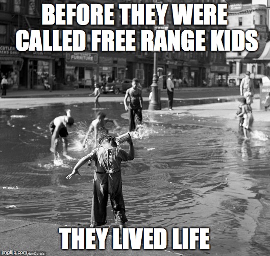free range kids | BEFORE THEY WERE CALLED FREE RANGE KIDS THEY LIVED LIFE | image tagged in free range kids,kids,old days | made w/ Imgflip meme maker