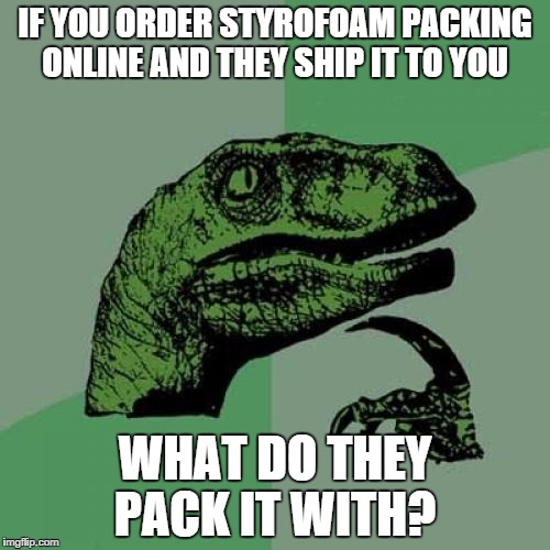 Philosoraptor Meme | IF YOU ORDER STYROFOAM PACKING ONLINE AND THEY SHIP IT TO YOU WHAT DO THEY PACK IT WITH? | image tagged in memes,philosoraptor | made w/ Imgflip meme maker