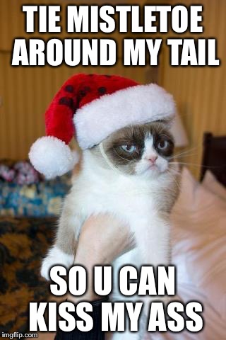 Grumpy Cat Christmas | TIE MISTLETOE AROUND MY TAIL SO U CAN KISS MY ASS | image tagged in memes,grumpy cat christmas,grumpy cat | made w/ Imgflip meme maker