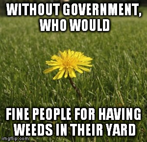dandelion | WITHOUT GOVERNMENT, WHO WOULD FINE PEOPLE FOR HAVING WEEDS IN THEIR YARD | image tagged in dandelion | made w/ Imgflip meme maker