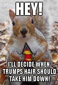 HEY! I'LL DECIDE WHEN TRUMPS HAIR SHOULD TAKE HIM DOWN! | made w/ Imgflip meme maker