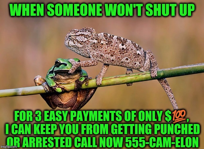 The Silencer | WHEN SOMEONE WON'T SHUT UP FOR 3 EASY PAYMENTS OF ONLY $ | image tagged in funny memes,frog | made w/ Imgflip meme maker