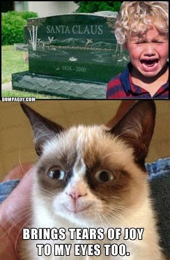 image tagged in funny,memes,grumpy cat