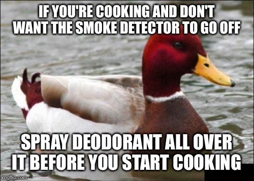 Malicious Advice Mallard | IF YOU'RE COOKING AND DON'T WANT THE SMOKE DETECTOR TO GO OFF SPRAY DEODORANT ALL OVER IT BEFORE YOU START COOKING | image tagged in memes,malicious advice mallard | made w/ Imgflip meme maker