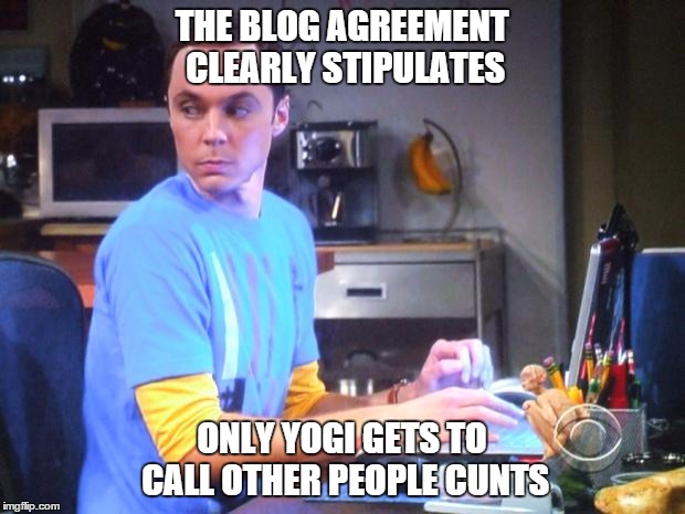 Sheldon Computer | THE BLOG AGREEMENT CLEARLY STIPULATES ONLY YOGI GETS TO CALL OTHER PEOPLE C**TS | image tagged in sheldon computer | made w/ Imgflip meme maker