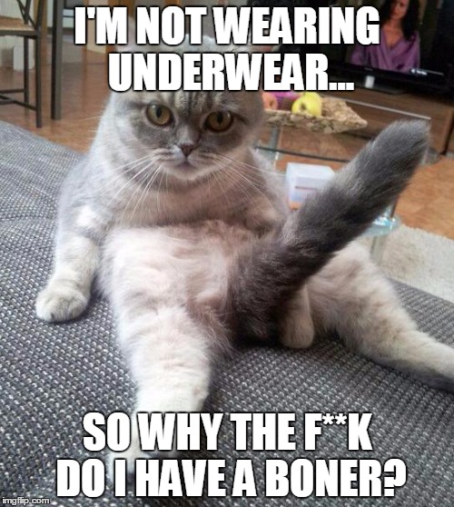 Sexy Cat Meme | I'M NOT WEARING UNDERWEAR... SO WHY THE F**K DO I HAVE A BONER? | image tagged in memes,sexy cat,boner,underwear | made w/ Imgflip meme maker